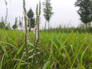 20140531_172514.jpg