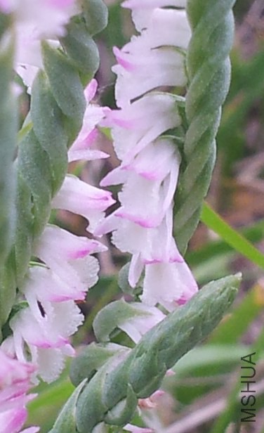 2220140531_172448.jpg