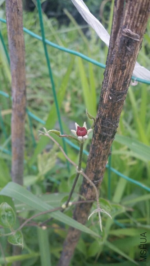 QQͼƬ20140616224606.jpg