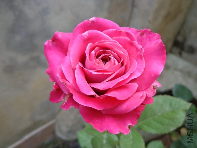DSC02903.JPG