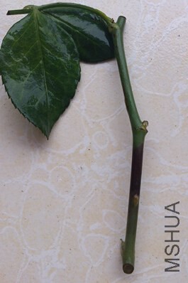 QQ��ͼ20140617102541.jpg