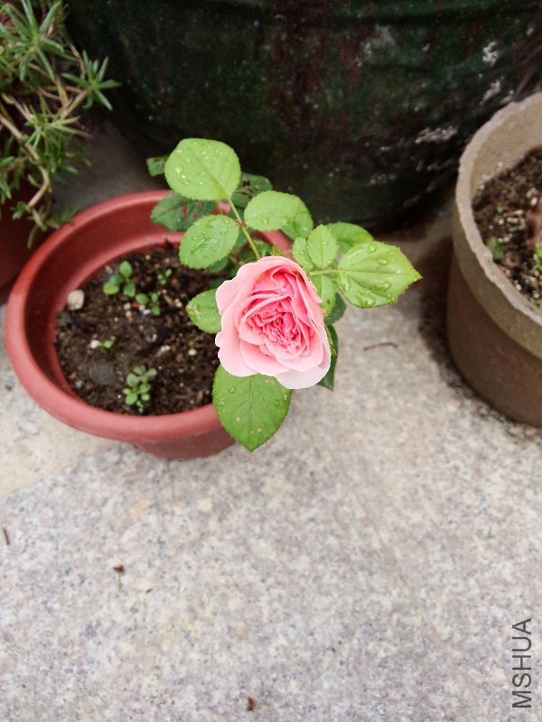 IMG20140617084633.jpg