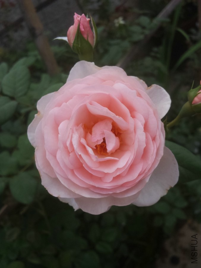 20140612_074717.jpg