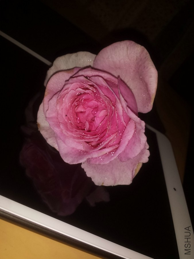 20140615_223959.jpg