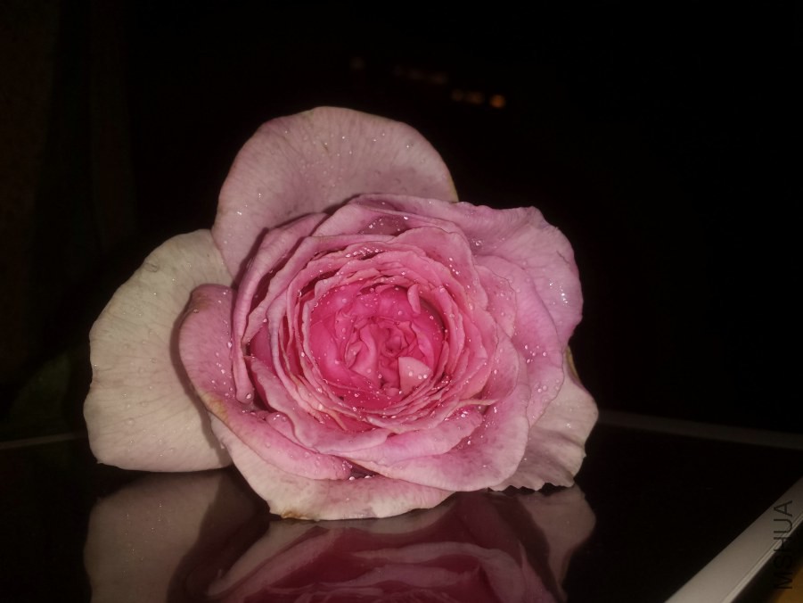 20140615_224027.jpg