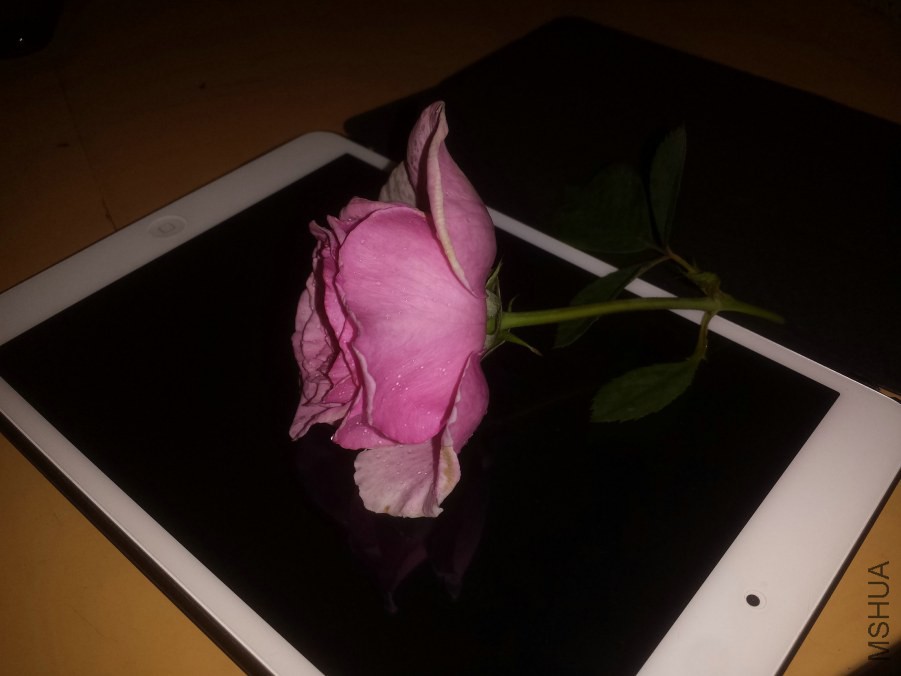 20140615_224051.jpg