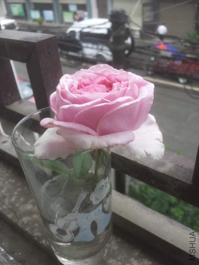 20140616_074403.jpg