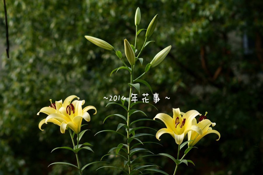 04.jpg