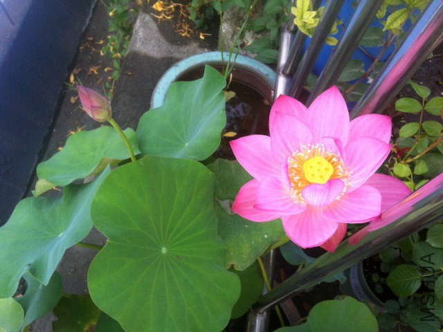 ��Ƭ 028.jpg