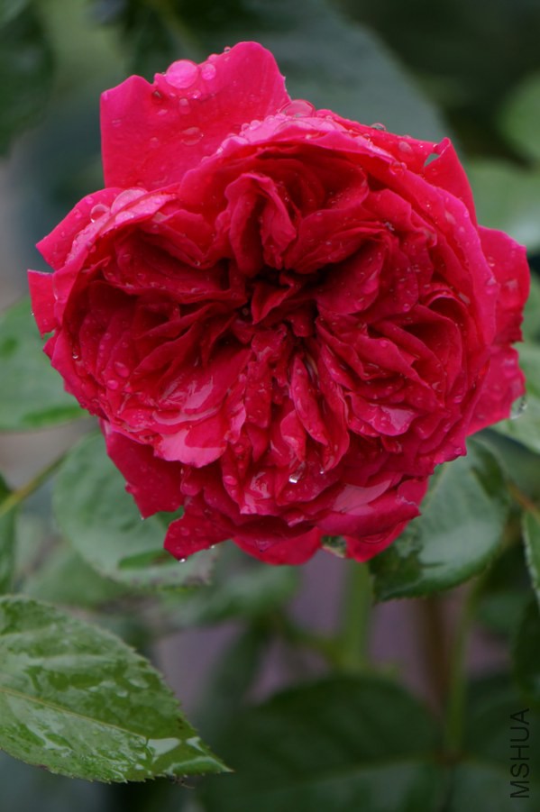 DSC01624.JPG