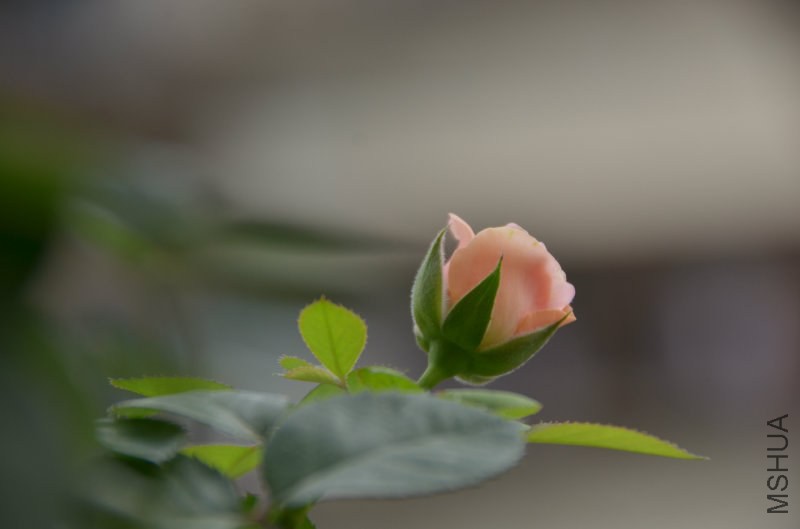105107i30u557ruqvv9757.jpg