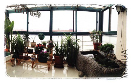 �ֻ��ĵ���̨ȫ��