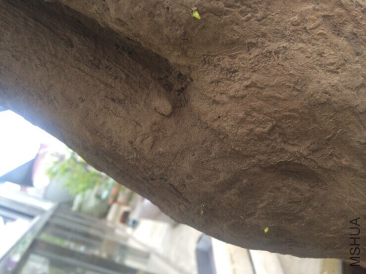 QQͼƬ20140618194106.jpg
