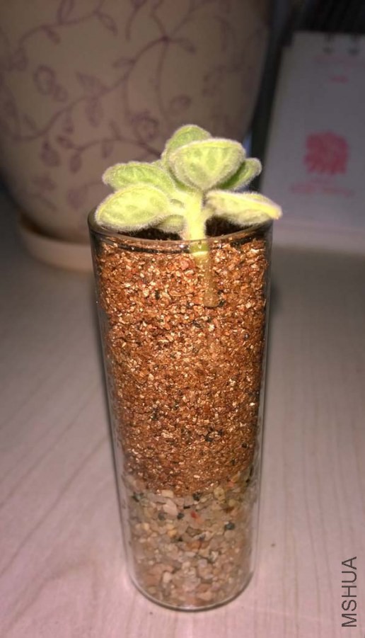 ������Ǥ��