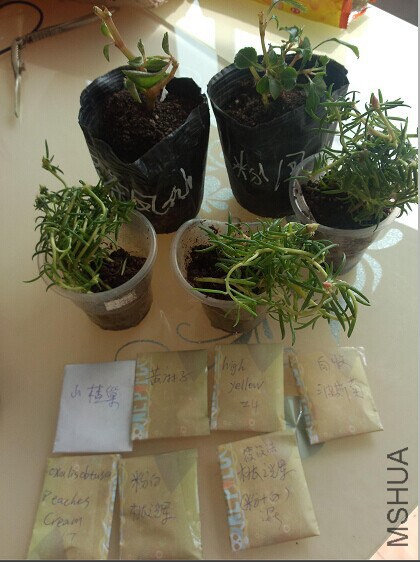 QQͼƬ20140619203706.jpg
