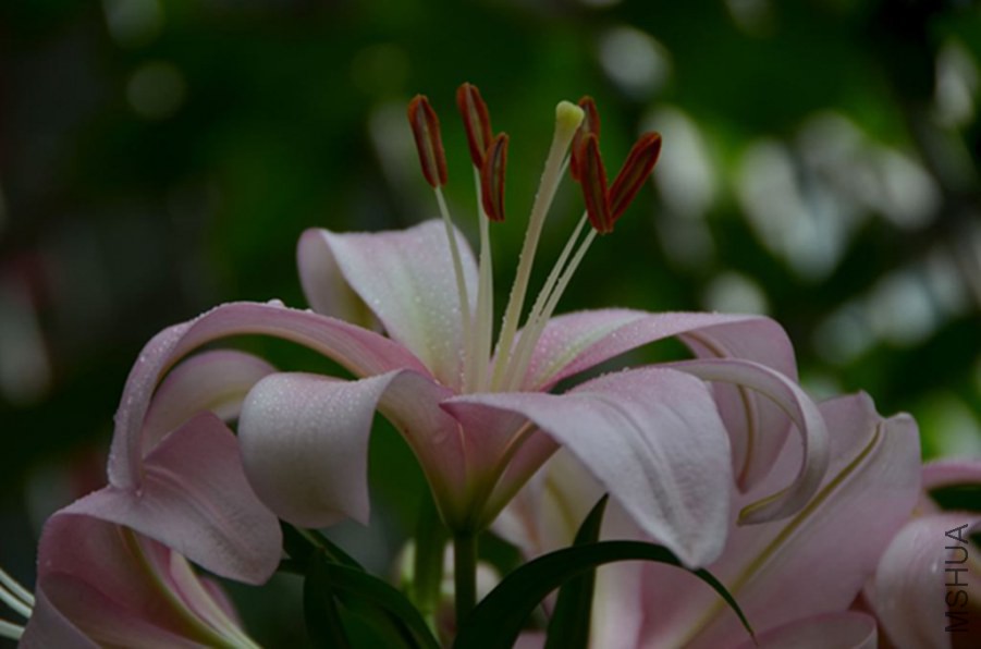HGS_7393_����.jpg