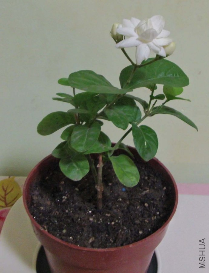 GEDC0147.jpg