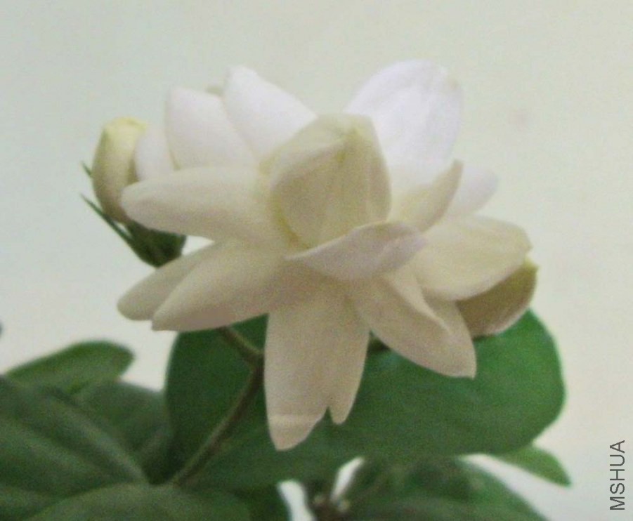 GEDC0149.jpg