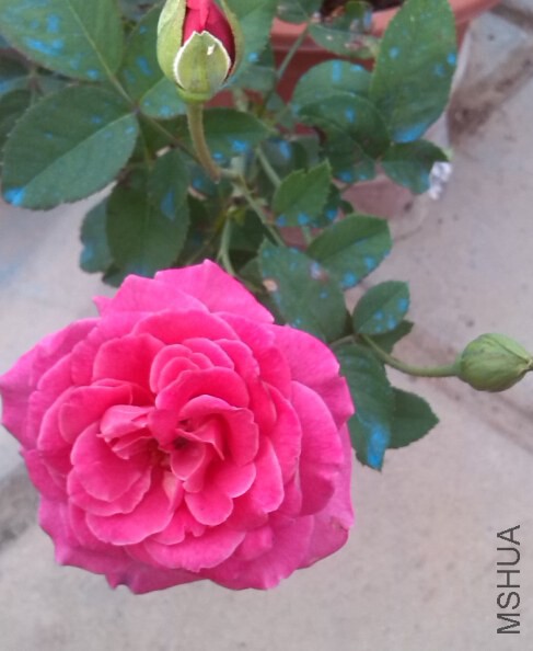 QQ��ͼ20140620085637.jpg