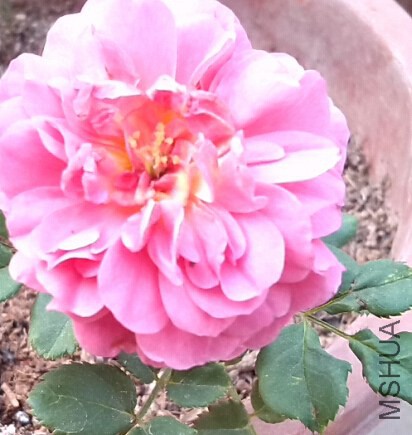 QQ��ͼ20140620091000.jpg