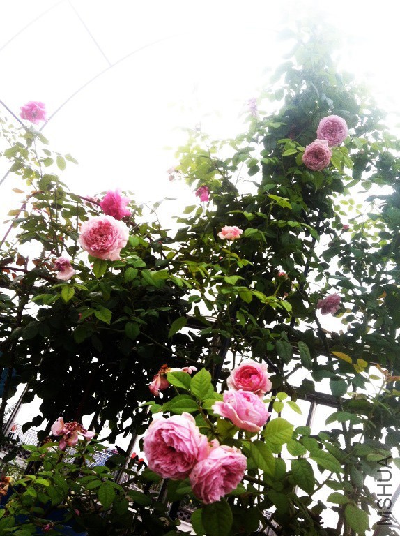 ��Ƭ 014.jpg