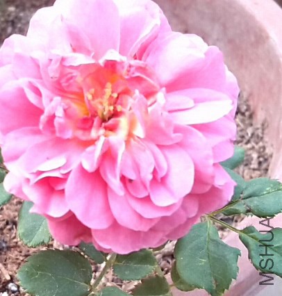 QQ��ͼ20140620091257.jpg