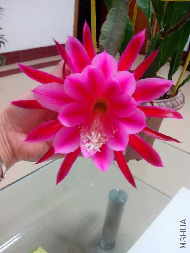 QQͼƬ20140620115536.jpg
