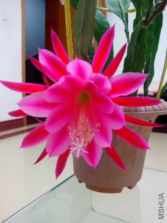 QQͼƬ20140620115531.jpg