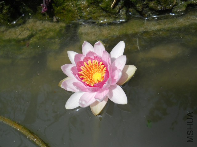 DSCN2228.JPG
