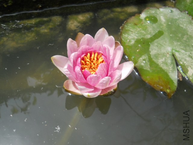 DSCN2229.JPG