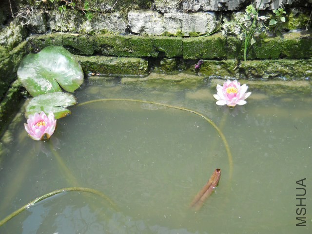 DSCN2230.JPG