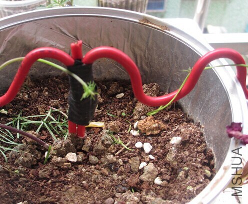 ������ѿ��ҧ��