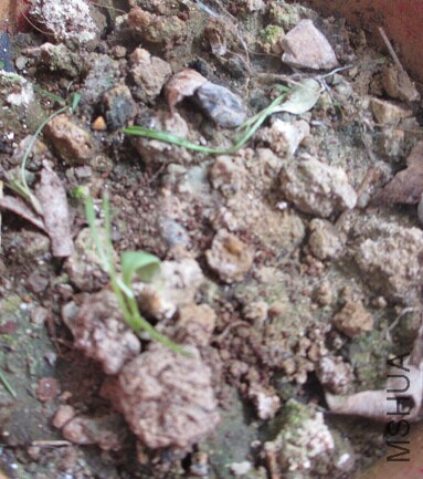 ѫ�¾���������