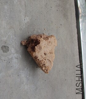 ������˵������ɵģ����������Ϸ���һС�鵰�����飬����ڶ���һ��û��