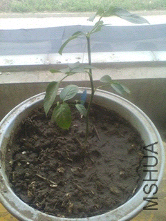 1403310252643.jpg