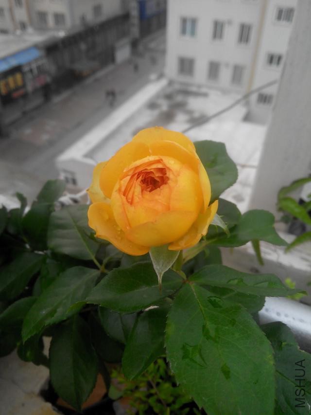 640-960.3ff248ef2ffa9f52dc5feee5303199d2c375599f.f792da.jpg