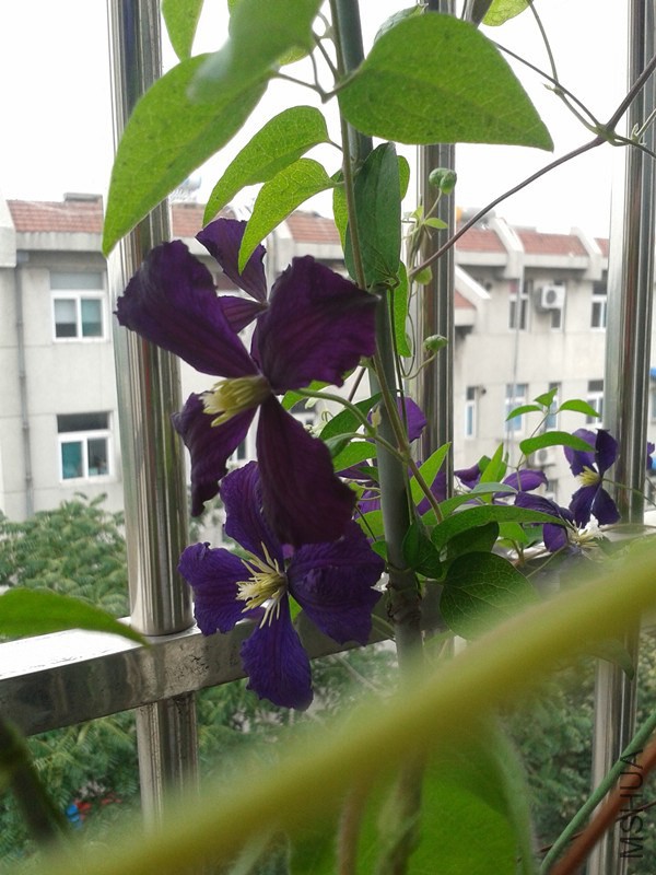 2014-06-20 12.31.37_����.jpg