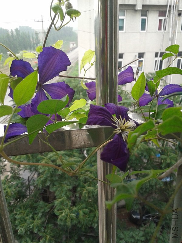 2014-06-20 12.32.08_����.jpg