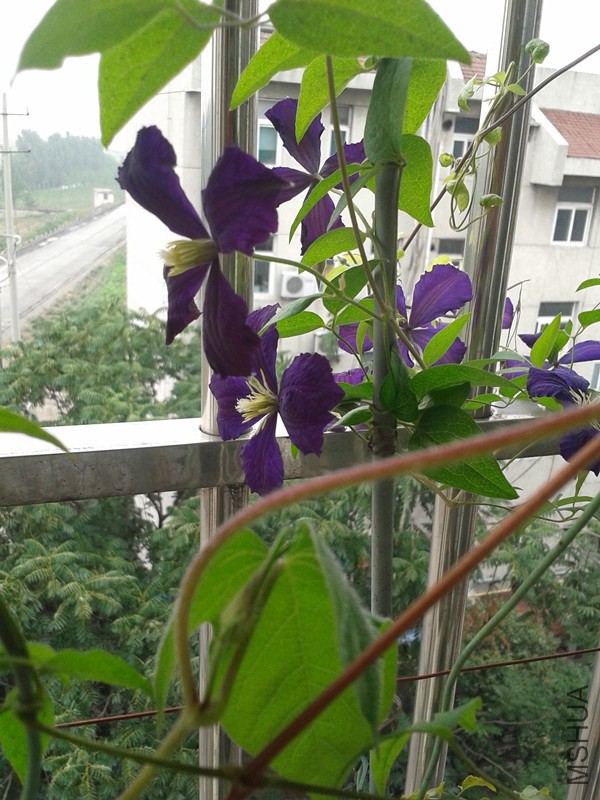 2014-06-20 12.32.17_����.jpg