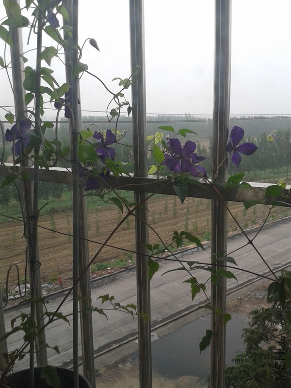 2014-06-20 12.34.48_����.jpg