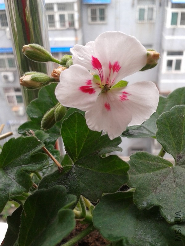 2014-06-20 12.29.12_����.jpg