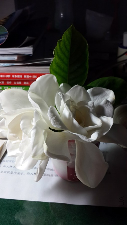 20140621_171107_meitu_5.jpg