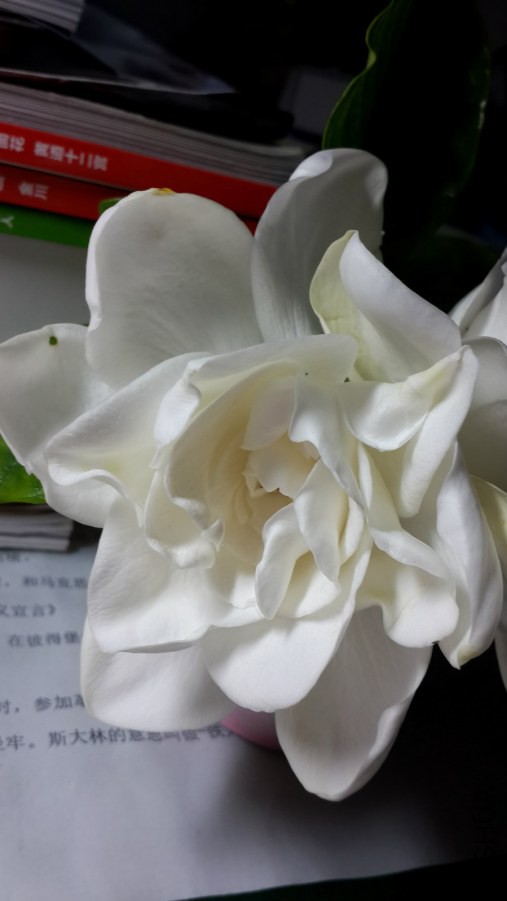 20140621_171127_meitu_6.jpg
