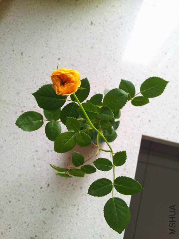 20140530_151515_����.jpg