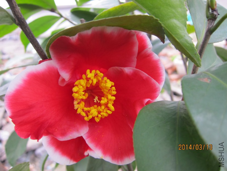 IMG_1645.JPG