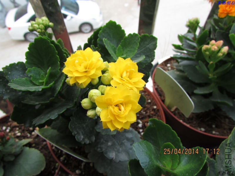 IMG_7304_nEO_IMG.jpg