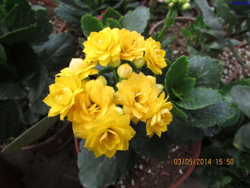 IMG_7625_nEO_IMG.jpg