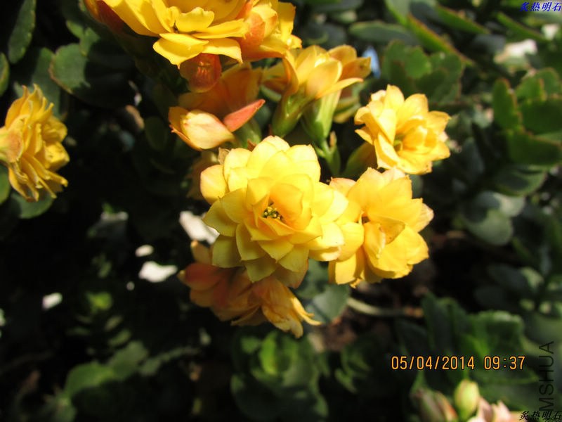 IMG_5398_nEO_IMG.jpg