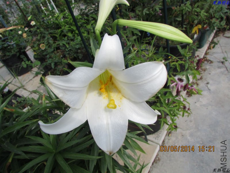 IMG_7548_nEO_IMG.jpg