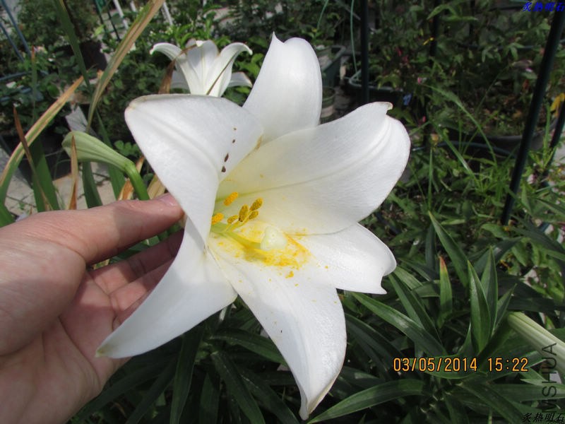IMG_7553_nEO_IMG.jpg